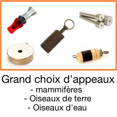 Chasseur Et Compagnie équipement Chasse Et Tir Sportif