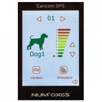 Collier gps et dressage numaxes canicom 2 7