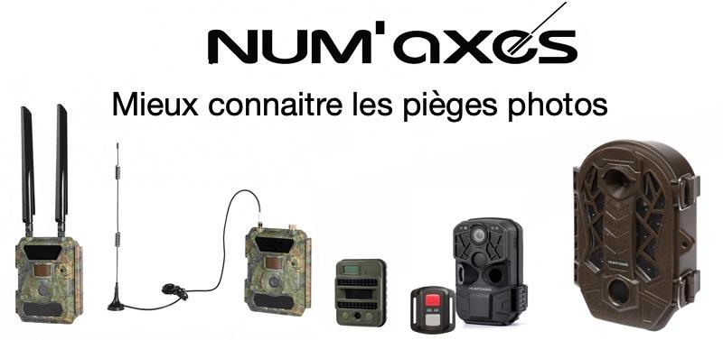 NOUVEAU! Huntex Numérique Ours Avec Compteur De Pièces - 1, 75