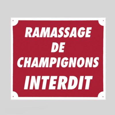 Panneau pancarte akilux ramassage de champignon interdit